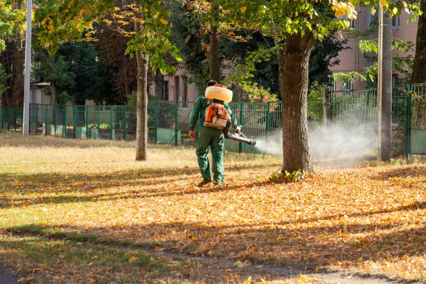 Best Flea Control Services  in New Baden, IL