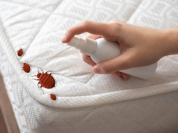 Best Best Pest Control Companies  in New Baden, IL