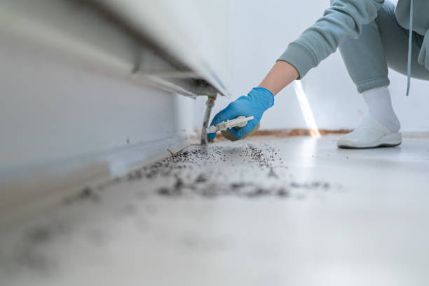 Best Mosquito Control Services  in New Baden, IL