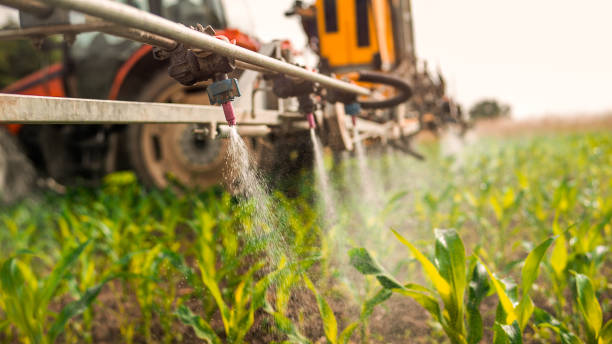Best Commercial Pest Control Services  in New Baden, IL